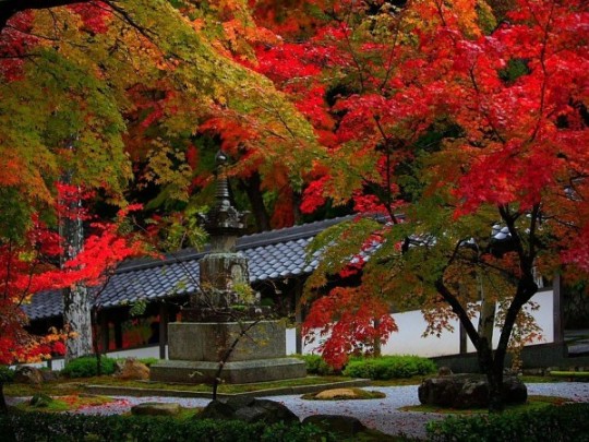temple Eigen-ji à l'automne.