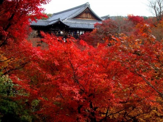 Temple Tofukuji à l'automne.