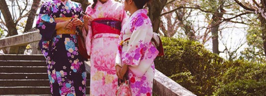 kimono-sakura