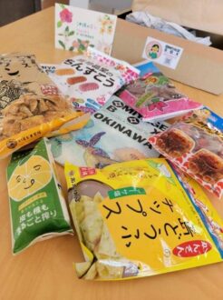 Lire la suite à propos de l’article Omiyage Box Snack : Okinawa