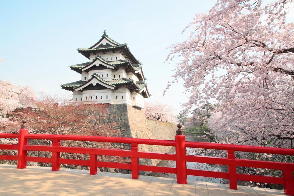 Château de Hirosaki aux cerisiers fleuris