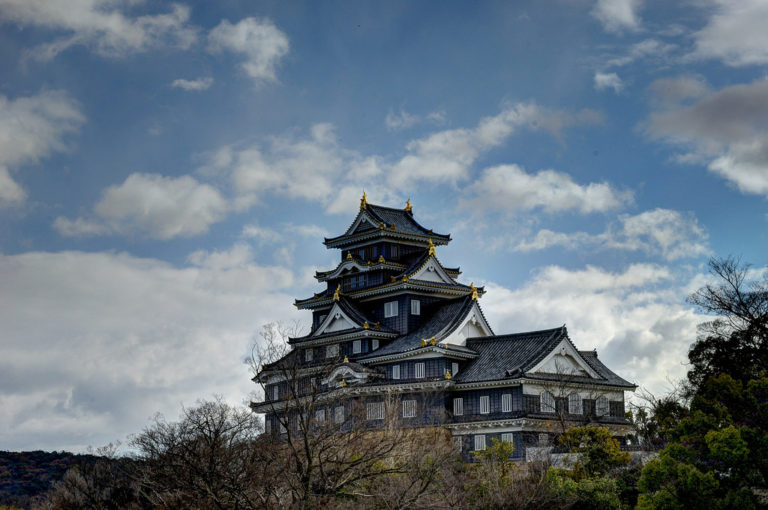 Lire la suite à propos de l’article Le château d’Okayama.