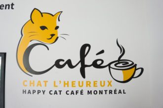 Lire la suite à propos de l’article Le Café Chat L’heureux, profitez de la ronron thérapie !