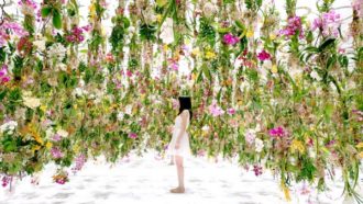 Lire la suite à propos de l’article Floating Flowers Garden | Tokyo