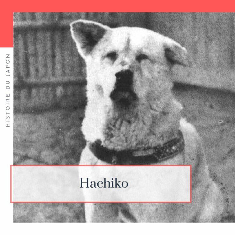 Lire la suite à propos de l’article Hachiko