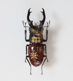 Lire la suite à propos de l’article Huile sur scarabée, l’art d’Akihiro Higuchi.
