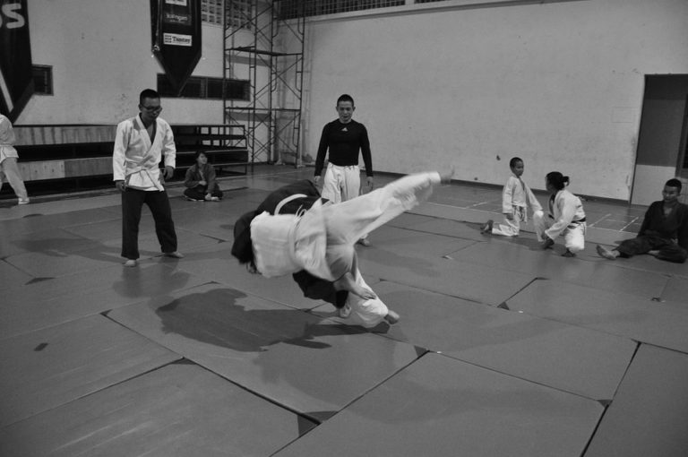 Lire la suite à propos de l’article le Judo