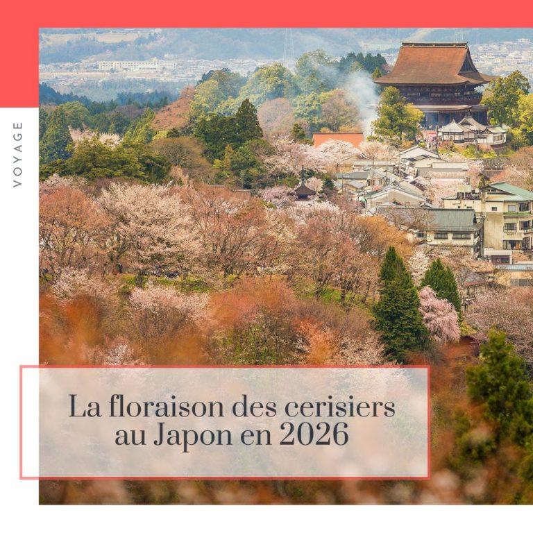 Lire la suite à propos de l’article La floraison des cerisiers en 2026 au Japon