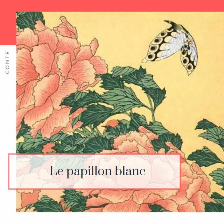 Lire la suite à propos de l’article Le papillon blanc