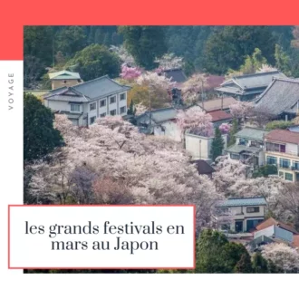 Lire la suite à propos de l’article Les grands festivals du Japon en Mars