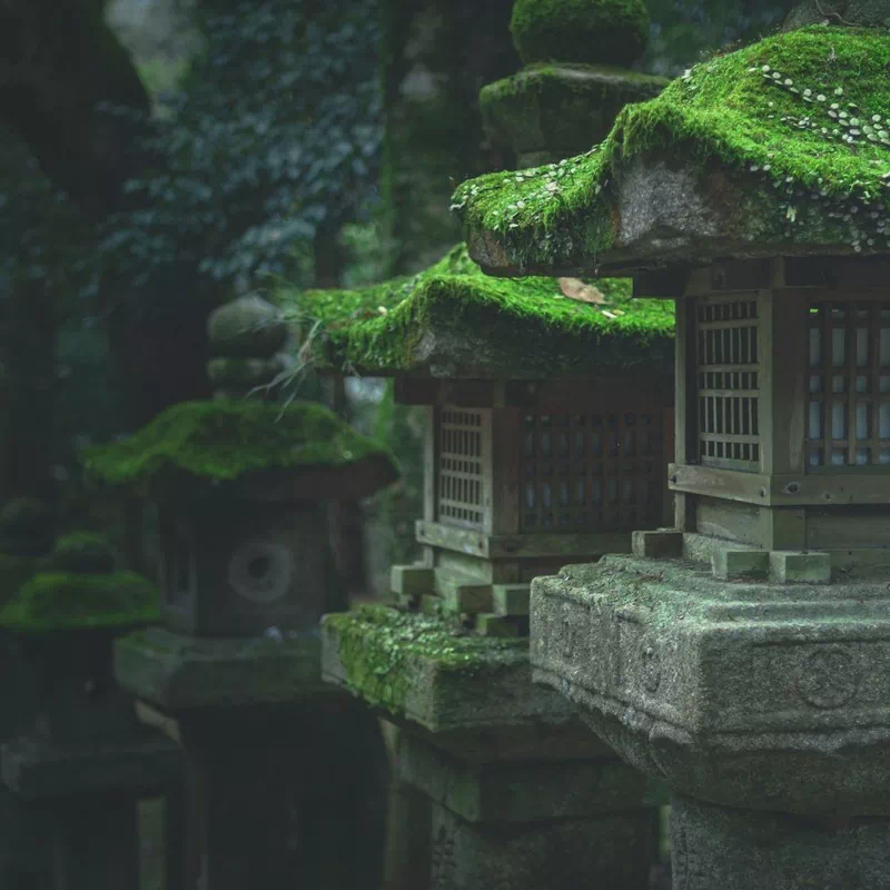 Nara - Kasuga Shrine