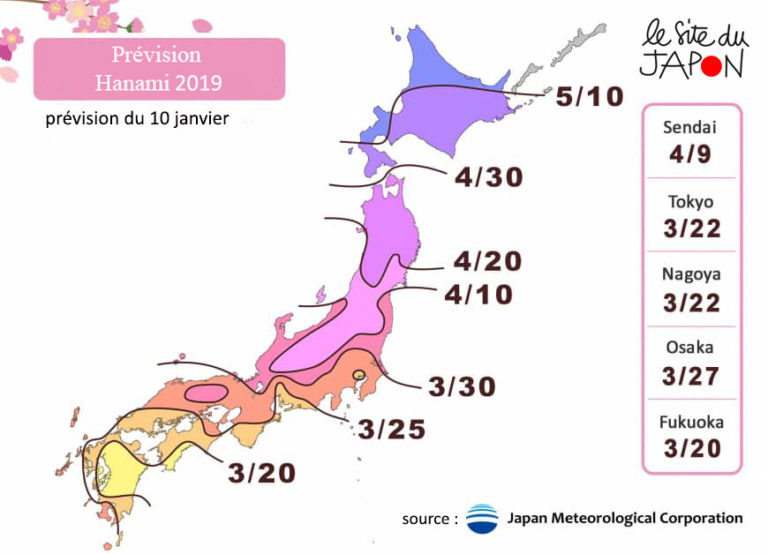 Lire la suite à propos de l’article Floraison des cerisiers 2019 au Japon