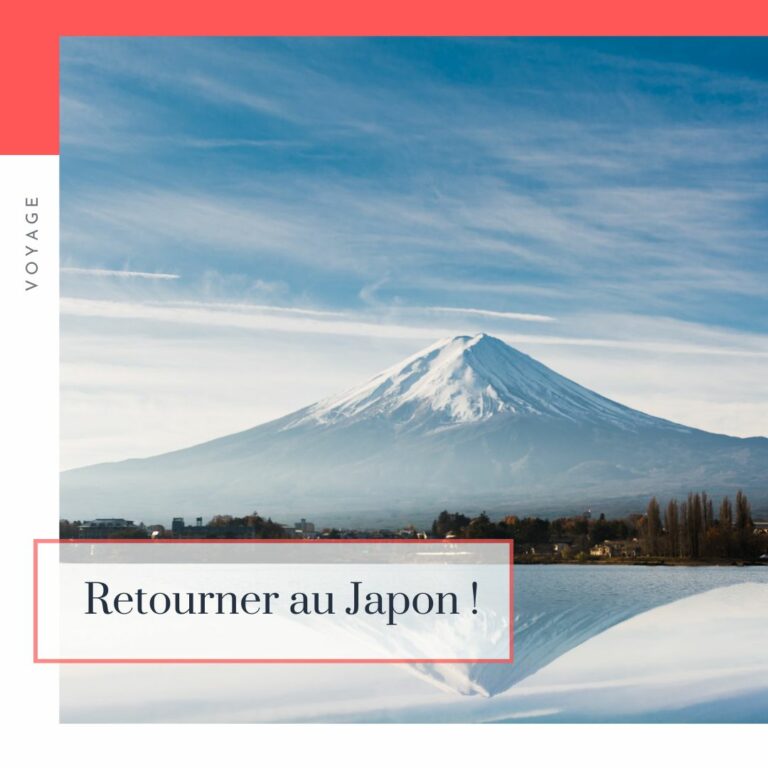 Lire la suite à propos de l’article Retourner au Japon !
