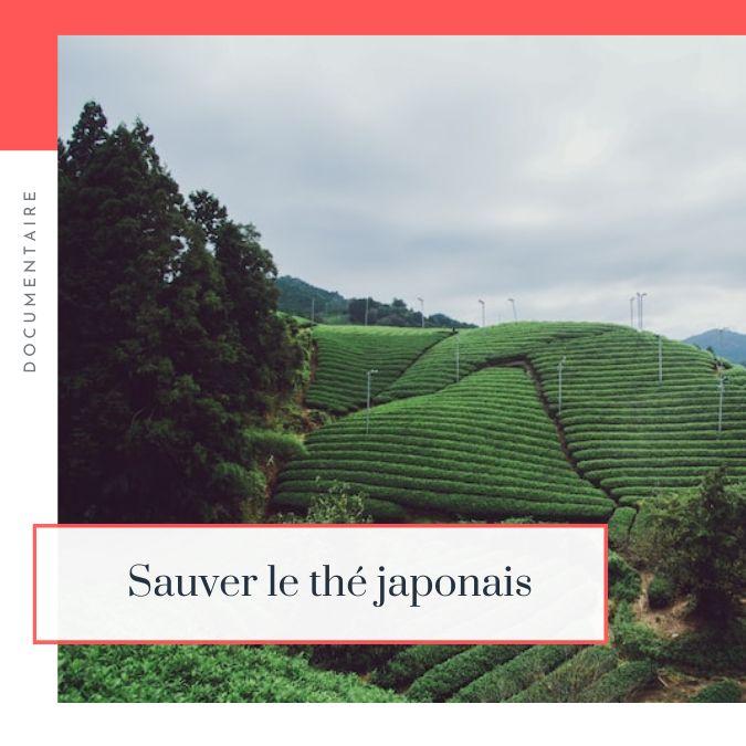 Lire la suite à propos de l’article Sauver le thé japonais