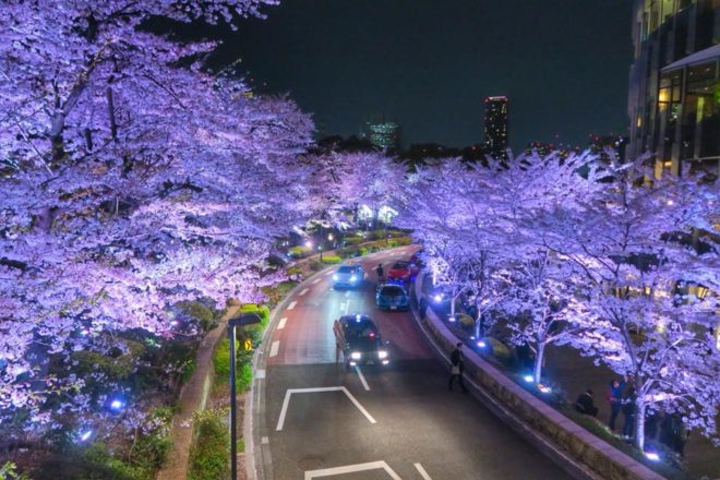 Tokyo Midtown Nuit par Oliviero Morelli