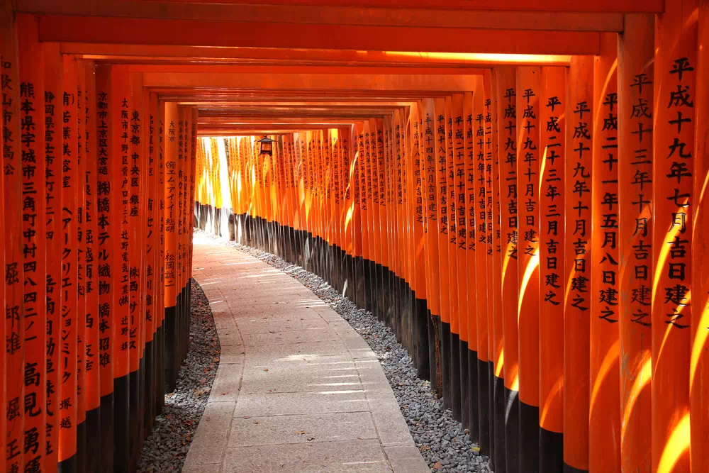 Torii - Inari shrine