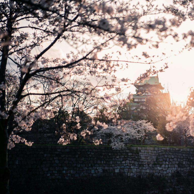 Lire la suite à propos de l’article Les meilleurs spots du Japon pour admirer l&rsquo;éclosion des cerisiers