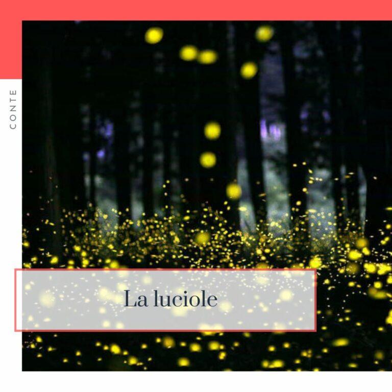 Lire la suite à propos de l’article La luciole, conte court japonais.