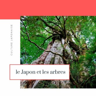 Lire la suite à propos de l’article Les arbres et le Japon