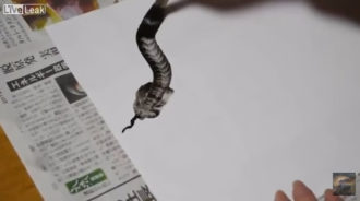 Lire la suite à propos de l’article Dessiner un serpent. [vidéo]