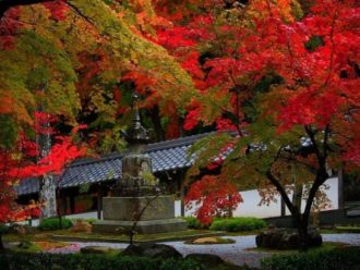 Lire la suite à propos de l’article temple Eigen-ji